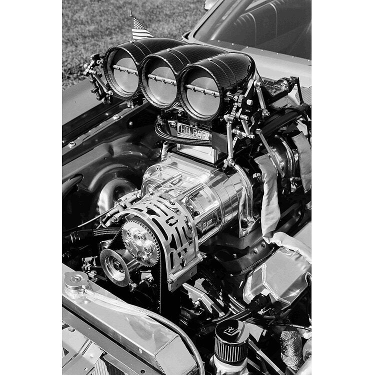 FILMFERRANIA P30 35mm 36exp - 80 ISO B&W